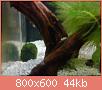         

:  DSC01841.jpg
:  283
:  43,5 KB