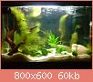         

:  DSC01842.jpg
:  284
:  59,5 KB