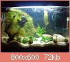         

:  DSC01847.jpg
:  268
:  71,8 KB
