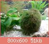         

:  DSC01848.jpg
:  286
:  50,8 KB