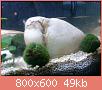         

:  DSC01849.jpg
:  270
:  49,1 KB