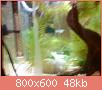         

:  DSC01850.jpg
:  263
:  48,0 KB