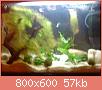         

:  DSC01851.jpg
:  254
:  56,7 KB