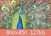        

:  IMGA0233.jpg
:  339
:  126,5 KB