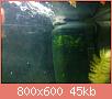         

:  DSC01873.jpg
:  385
:  45,0 KB