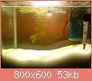         

:  DSC01875.jpg
:  279
:  52,9 KB