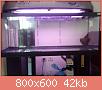         

:  DSC01880.jpg
:  199
:  41,7 KB