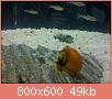         

:  IMG_0210.jpg
:  527
:  48,8 KB