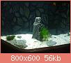         

:  IMG_0258.jpg
:  451
:  56,0 KB