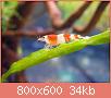         

:  DSCN1128.jpg
:  402
:  34,3 KB