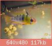         

:  DSCN1146.JPG
:  394
:  116,8 KB