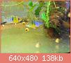         

:  DSCN1154.JPG
:  373
:  137,8 KB