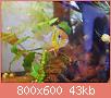         

:  DSCN1138.jpg
:  378
:  42,8 KB