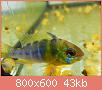         

:  DSCN1130.jpg
:  355
:  43,2 KB