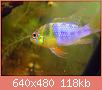         

:  DSCN1168.JPG
:  246
:  117,7 KB