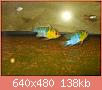         

:  DSCN1175.JPG
:  254
:  137,9 KB