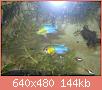         

:  DSCN1183.JPG
:  232
:  143,5 KB