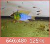         

:  DSCN1177.JPG
:  398
:  126,1 KB