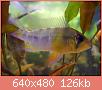         

:  DSCN1211.JPG
:  252
:  125,7 KB