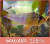         

:  DSCN1212.JPG
:  232
:  126,2 KB