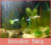         

:  DSC01932.jpg
:  497
:  53,5 KB