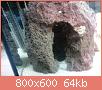         

:  DSC01864.jpg
:  269
:  63,9 KB