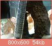         

:  DSC01865.jpg
:  275
:  54,0 KB