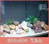         

:  DSC01866.jpg
:  291
:  52,6 KB