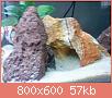         

:  DSC01867.jpg
:  266
:  57,5 KB