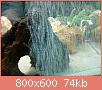         

:  DSC01868.jpg
:  261
:  73,8 KB