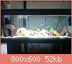         

:  DSC01862.jpg
:  314
:  51,8 KB
