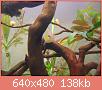         

:  DSCN1238.JPG
:  202
:  138,0 KB