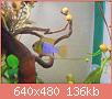         

:  DSCN1239.JPG
:  205
:  135,7 KB