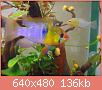         

:  DSCN1240.JPG
:  197
:  135,9 KB