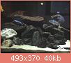         

:  enydrio 2010_10_22_19_08_57 22_10_2010 6_38 _0003.jpg
:  484
:  40,1 KB