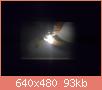         

:  DSCN1272.JPG
:  263
:  93,5 KB