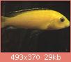         

:  1.jpg
:  317
:  28,5 KB