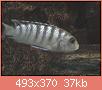         

:  3.jpg
:  328
:  37,3 KB