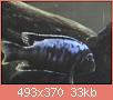         

:  4.jpg
:  349
:  32,8 KB