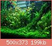         

:  AquariumPlants66.jpg
:  235
:  199,1 KB