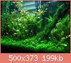         

:  AquariumPlants66.jpg
:  259
:  199,1 KB