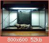         

:  DSC01874.jpg
:  317
:  51,7 KB