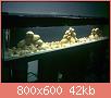         

:  13112010411.jpg
:  611
:  42,2 KB