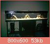         

:  13112010413.jpg
:  630
:  53,0 KB