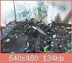         

:  DSCN1446.JPG
:  513
:  133,8 KB