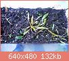         

:  DSCN1449.JPG
:  493
:  132,3 KB
