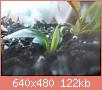         

:  DSCN1448.JPG
:  502
:  122,4 KB