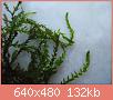         

:  DSCN1442.JPG
:  649
:  132,3 KB