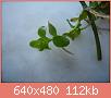         

:  DSCN1443.JPG
:  558
:  112,2 KB