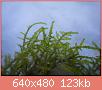         

:  DSCN1444.JPG
:  645
:  122,5 KB
